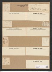 Cymbella microcephala Grun. (de-Toni-Nr.: Genus 33, Species 1393) Zeichnungen Sammlung Grunow Nr. 2666 (NHMW-BOT-W0369910)